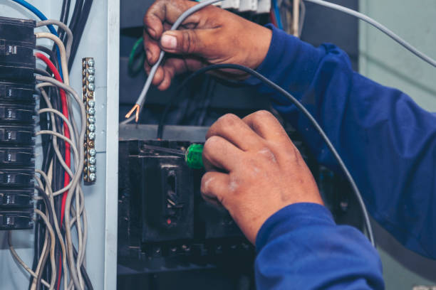 Best Industrial Electrical Services  in Wabasha, MN